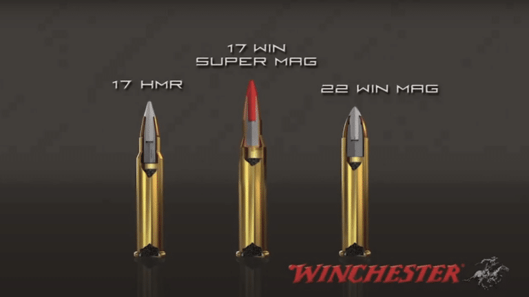 Rimfire: The Perfect Intro to the Shooting Sports - Shoot United